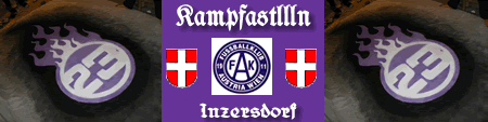 Wien-Banner