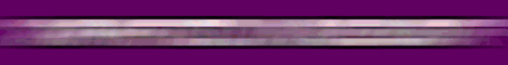 Flash-Banner